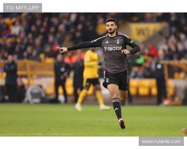 富勒姆俱乐部最新动态解析新赛季引援与战术走向全面展望球队未来布局