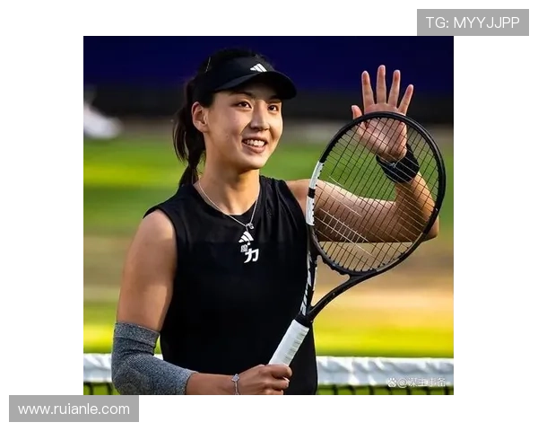 新生代崛起与老将坚守交织的国际网球赛场新格局观察年度深度解析